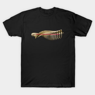 Vertebral column T-Shirt